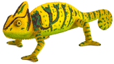 Toy School Chameleon